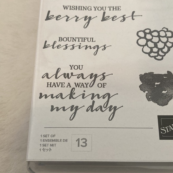 Stampin’ Up Berry Blessing Stamp Set - Picture 7 of 9